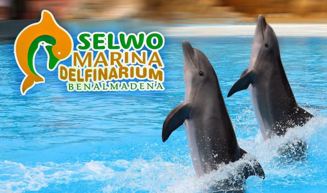 Apartamento Acuario 베날마데나코스타 외부 사진